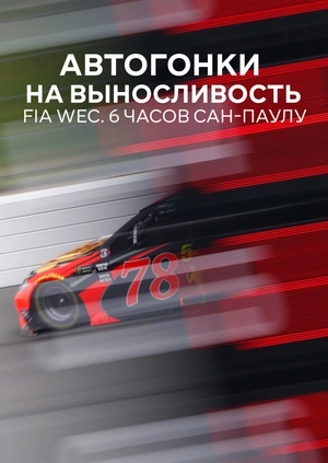 Endurance Racing. FIA WEC. 6 Hours of São Paulo