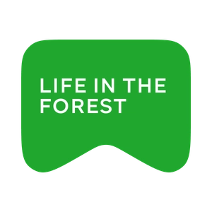 [M] Life in the Forest (playlist)