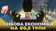 Як знайти ₴0,5 трлн на ЗСУ? Тіньова економіка | Ціна держави