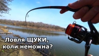 Ловля щуки в нерестову заборону 2023! Перша весняна рибалка!