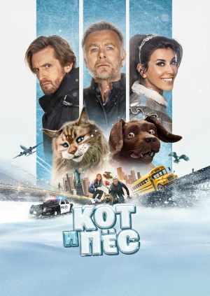 Кот и пёс