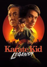 Karate Kid: Legendy — plakat