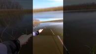 Рибалка на поплавок