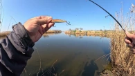 ТРАВЕНЬ БЛИЗЬКО ранкова прогулянка по річці