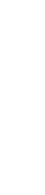 Футбольні ліги