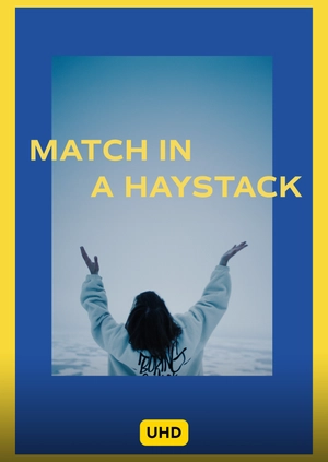 Match In A Haystack UHD