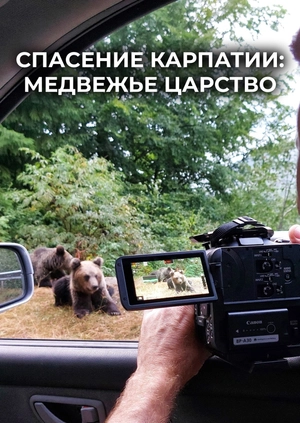 Спасение Карпатии: медвежье царство