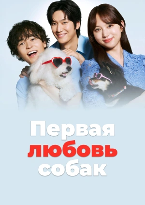 Первая любовь собак