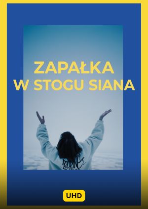Zapałka w stogu siana UHD — plakat