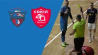 Любарт — Сокіл