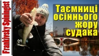 Таємниці осіннього жору судака | Який спінінг? Які приманки? Де шукати рибу?