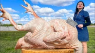 Cooking A Turkey That's Bigger Than Me! A Great Pleasure