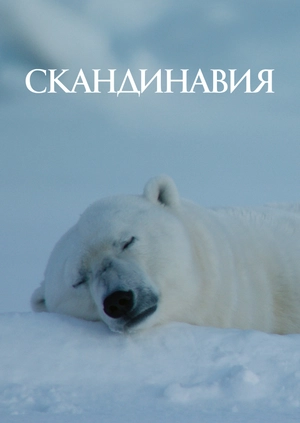Скандинавия