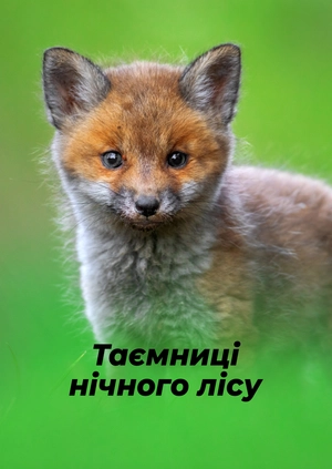 Таємниці нічного лісу