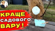 ЦЕ КРАЩЕ САДОВОГО ВАРА Чим Обробити Зрізи Після Обрізки Сада
