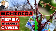 ВІД МОНІЛІОЗ! ПЕРША ОБРОБКА ВСЬОГО САДУ БЕРЕЗЕНЬ-КВІТЕНЬ. СХЕМА ПЕРЕВІРЕНА РОКАМИ !!