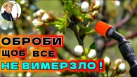 ВЕСНЯНІ ЗАМОРОЗКИ: Чим Обробити Рослини для Надійного Захисту