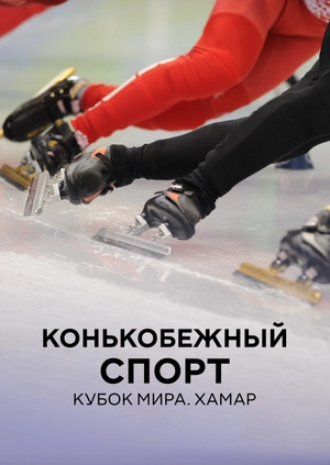Конькобежный спорт. Кубок мира. Хамар