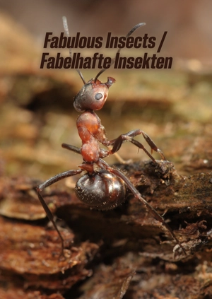 Fabulous Insect