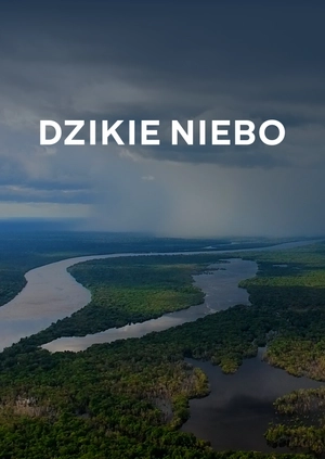 Dzikie niebo