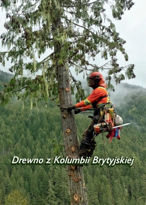 Drewno z Kolumbii Brytyjskiej