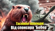 ️‍️ Таємний челендж від Бобра у WoT Blitz!