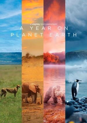 A Year on Planet Earth