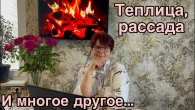 Разговоры в домашней обстановке: о главном и не только