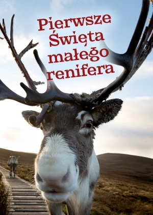 Pierwsze Święta małego renifera