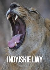 Indyjskie lwy — plakat