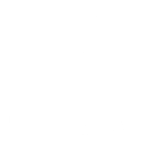 1 TV