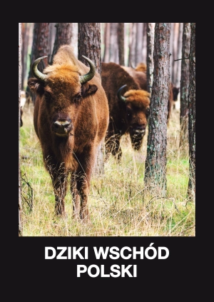 Dziki Wschód Polski