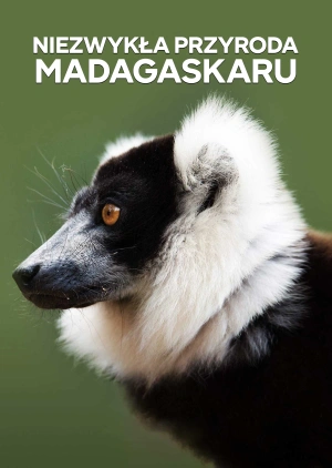 Niezwykła przyroda Madagaskaru
