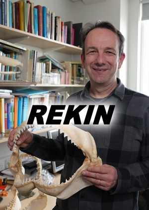 Rekiny