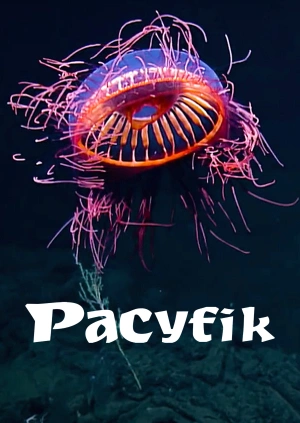 Pacyfik