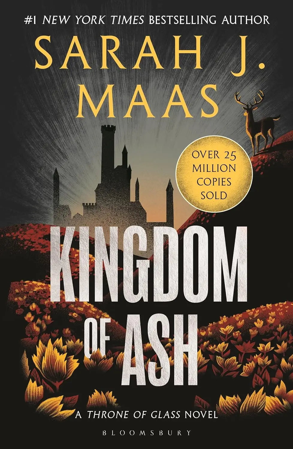 Обкладинка "Kingdom of Ash"