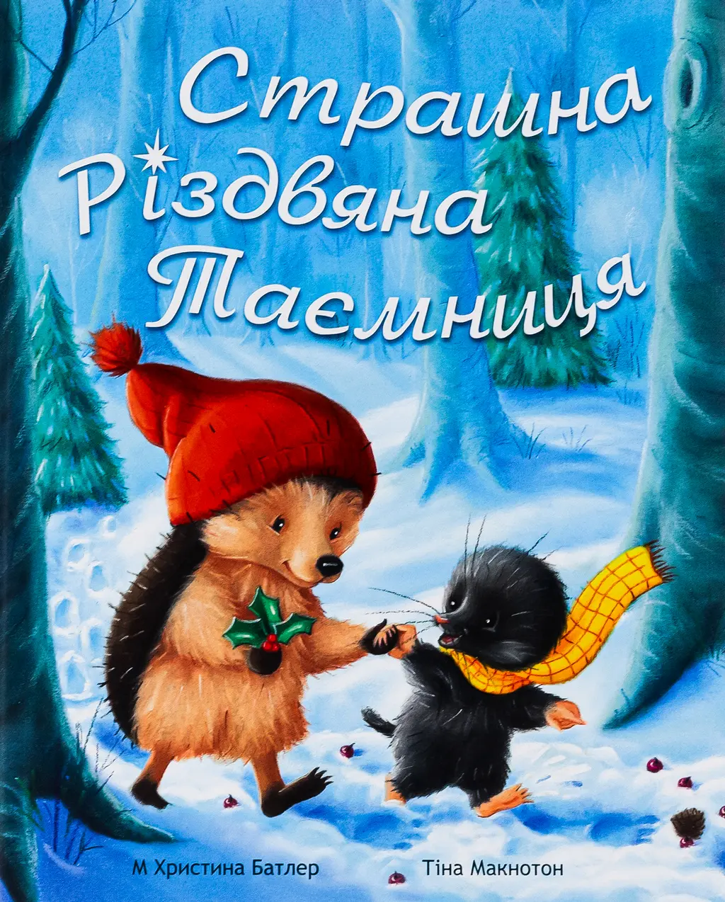Обкладинка "Страшна Різдвяна Таємниця"