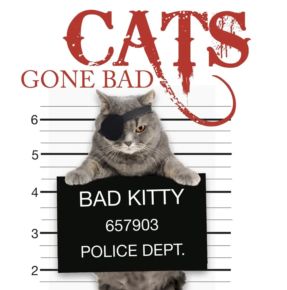 Обкладинка "Cats Gone Bad"