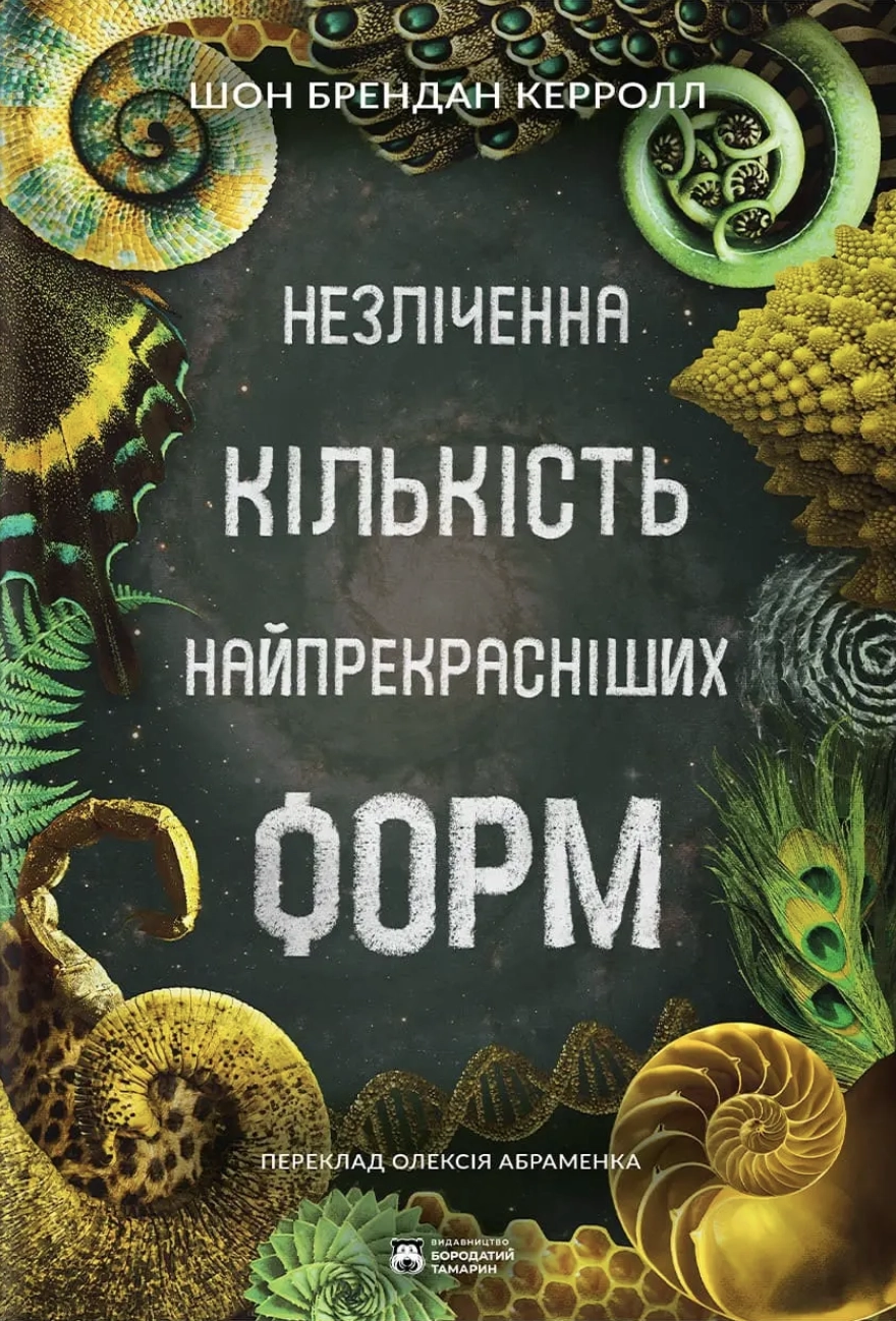 Незліченна кількість найпрекрасніших форм