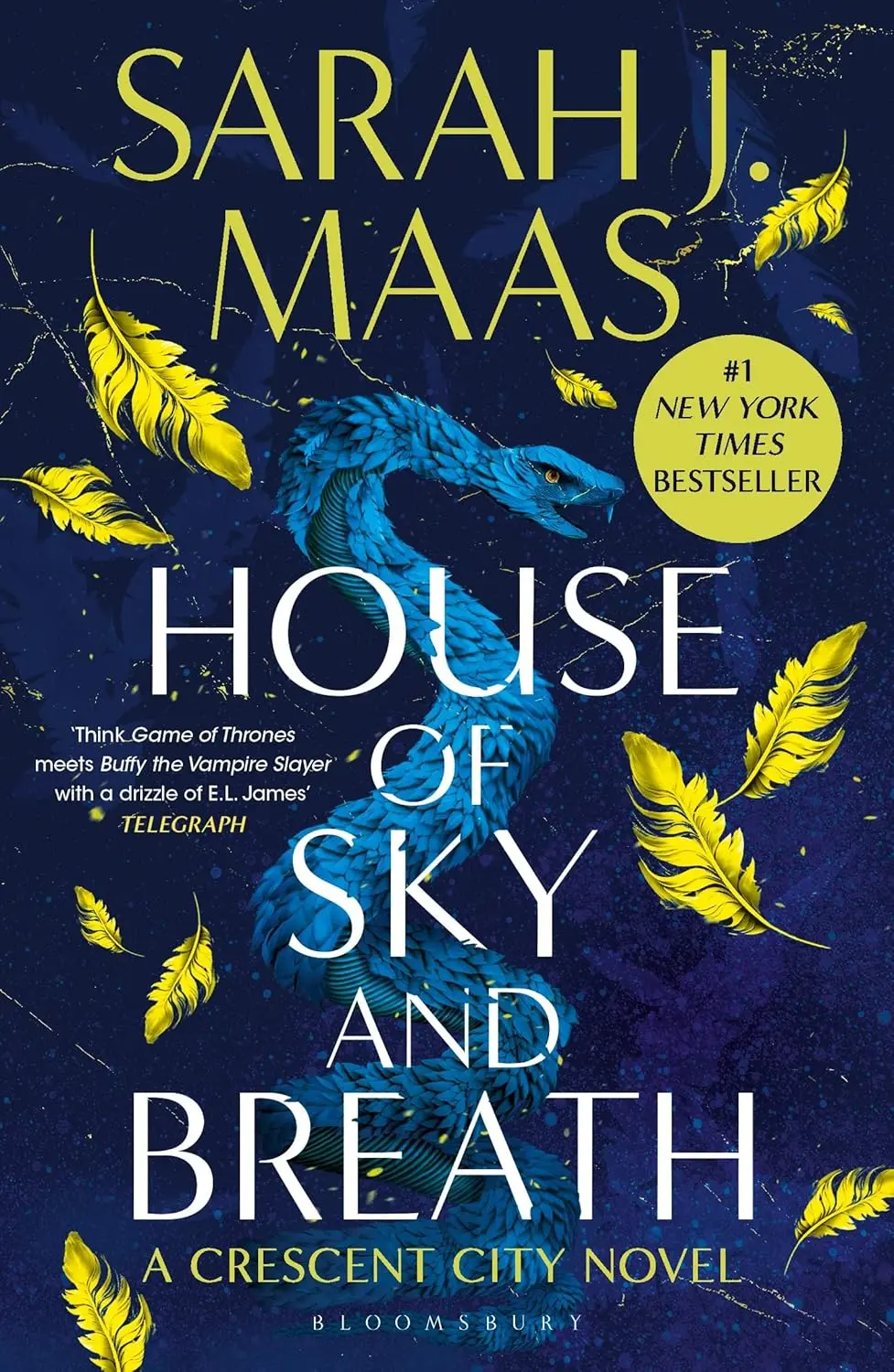 Обкладинка "House of Sky and Breath"