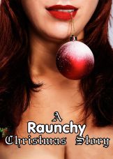 A Raunchy Christmas Story — plakat
