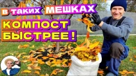 Серія 362