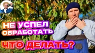 Серія 361