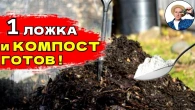 ОСЕННИЙ КОМПОСТ В 3 РАЗА БЫСТРЕЕ — ДОБАВЬТЕ ЭТО!