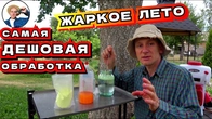 Жаркое лето: Секреты обработки серой для максимального эффекта