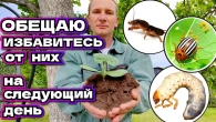 От ВСЕХ вредителей и без всякой химии в саду и огороде !!!