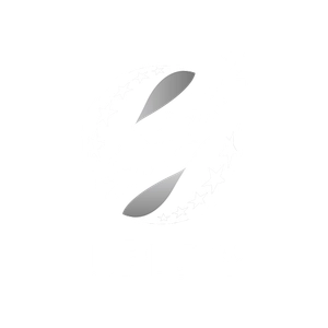Рух — Олександрія