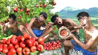 Ultimate Rainforest Survival: Java Apple Feast in the Wild with Primitive Boy!