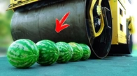 EXPERIMENT: ROAD ROLLER vs WATERMELON