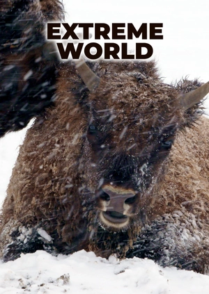 Extreme World